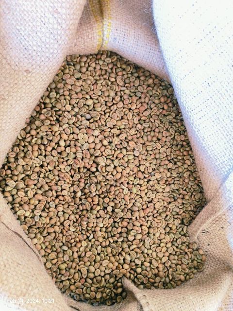 ROBUSTA CHERRY AA Scr 18 Origin India Packing 60 Kgs (net) Place of Origin INDIA Max. Moisture (%) 12.75% Packaging Details 60 KGS NET IN NEW JUTE BAG - Image 2